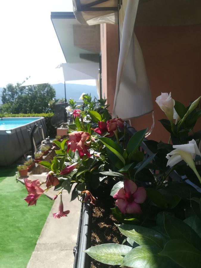 La Fontanella Apartment Polverara Exterior photo